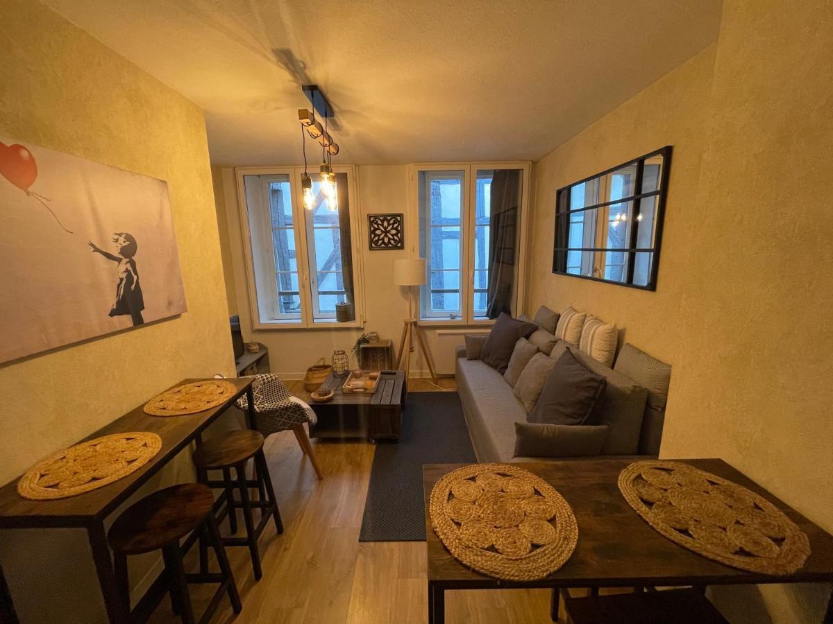 Le Paillot Hyper Centre Classe Apartment Troyes